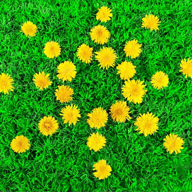 СОВЕРШЕННЫЙ САД 🌳 PERFECT GARDEN | Мир и сад реалистичного перфекциониста