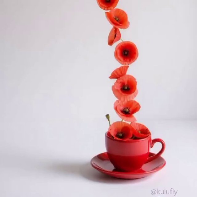 ☕🩷 Café & Poesia 🩷☕