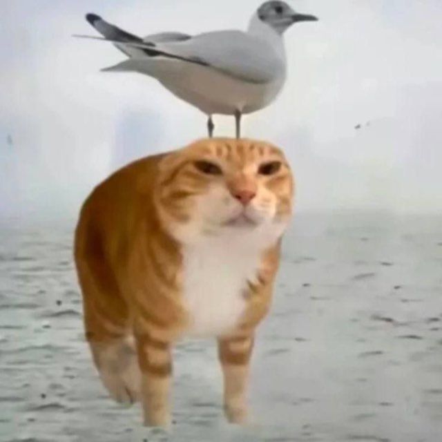 Щп