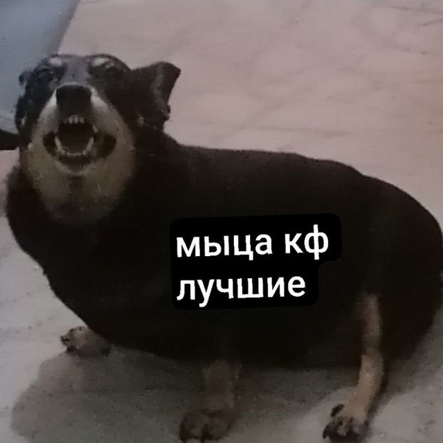 𝐰𝐚𝐬𝐡𝐢𝐧𝐠 𝐜𝐟