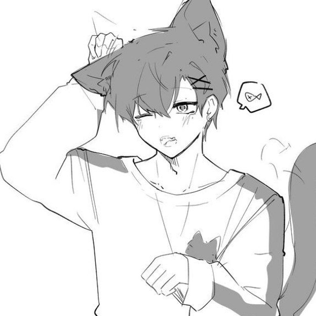 переход. caatboy
