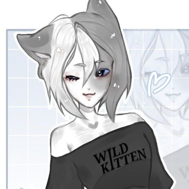 xoshi_kitt
