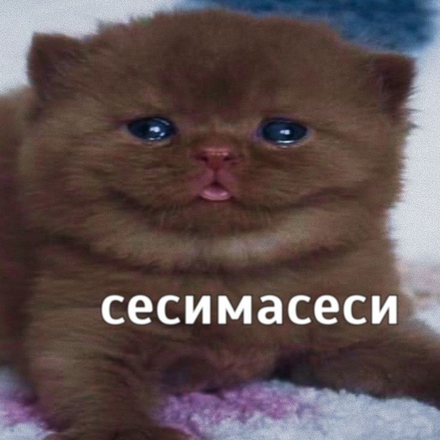 Just writing Barbara | зарисовки | ориджиналы