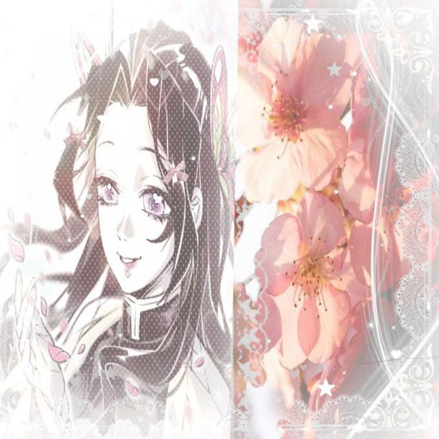 ЗАКРЫТО. ⁺ᯏ 𝘝𝘦𝘭𝘷𝘦𝘵 𝘤𝘩𝘢𝘰𝘴_ 🪷 退屈..