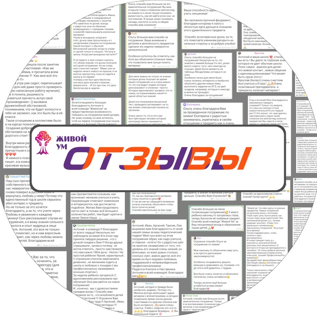 Отзывы. Погружения в Москве. Живой Ум