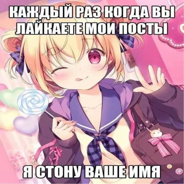 влог кайто