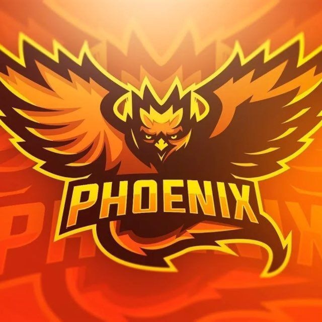 🐦‍🔥PHOENIX by PNХ🐦‍🔥