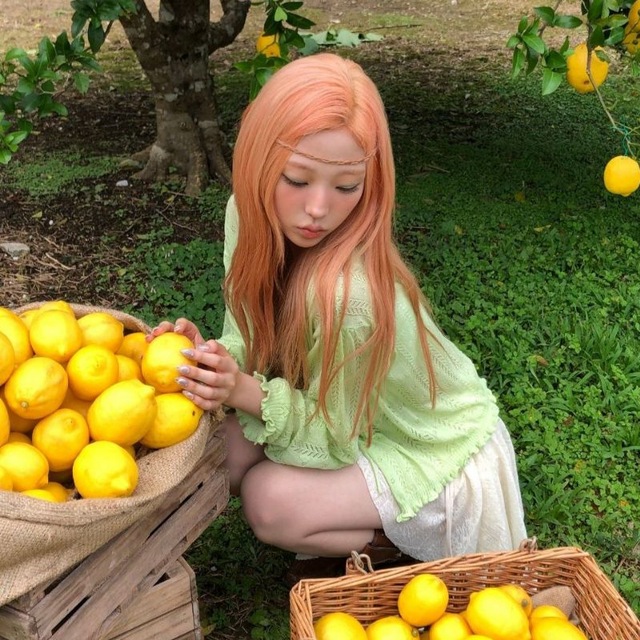 🍋 스텔라 Stella