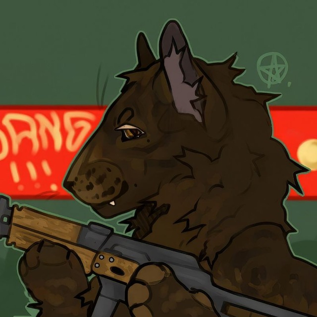 𝙧𝙞𝙢𝙢𝙖'𝙨 𝙎𝙏𝙐𝘿𝙄𝙊