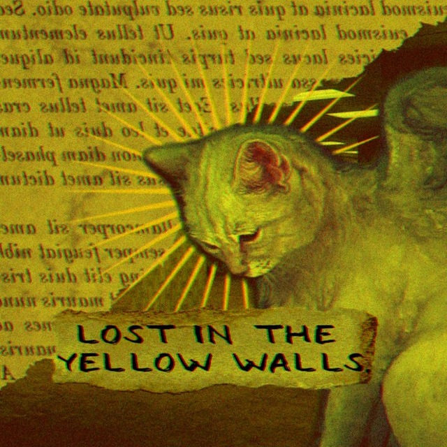 𝑳𝒐𝒔𝒕 𝒊𝒏 𝒕𝒉𝒆 𝒚𝒆𝒍𝒍𝒐𝒘 𝒘𝒂𝒍𝒍𝒔. [𝑰𝑵𝑭𝑶]
