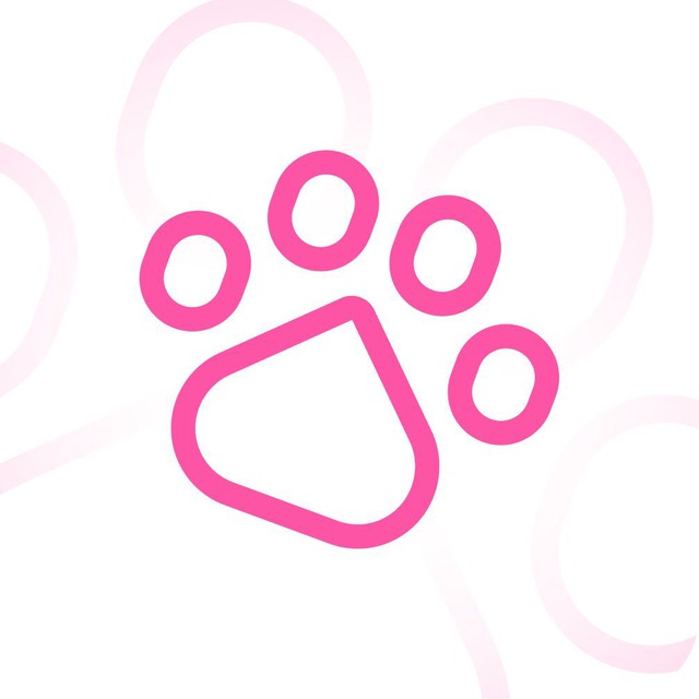Cats VPN — Канал
