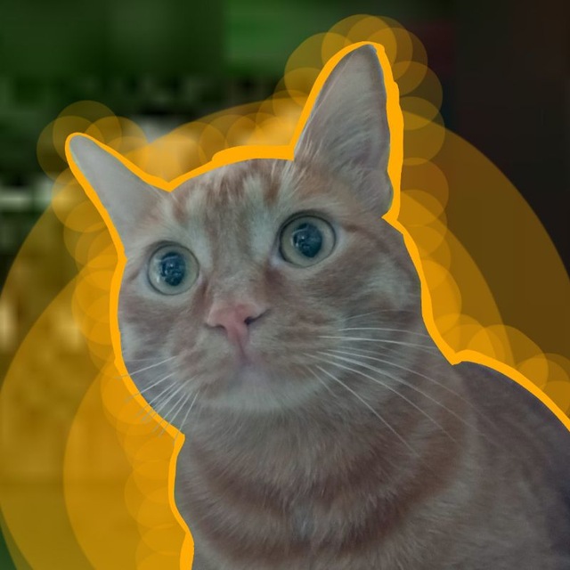 🔸𝑅𝓎𝓏𝒾𝓀 𝑅𝓊𝓃𝓈!🔸