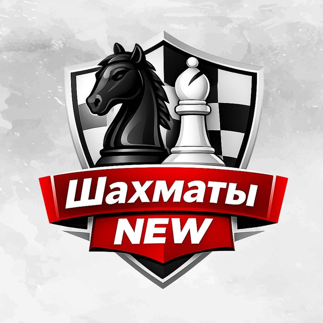 Шахматы NEW