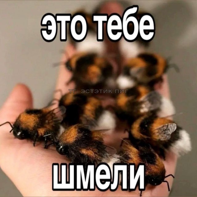 Шмель на унитазе курит шмаль чтоо