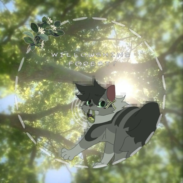 ꒰ Willᴏwshinᴇ fᴏrᴇsᴛ ! ⌗