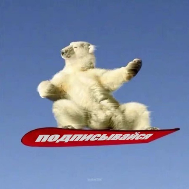 𝙧𝙖𝙣𝙙𝙤𝙢 𝙜𝙪𝙮'𝙨 𝙞𝙣𝙛𝙤