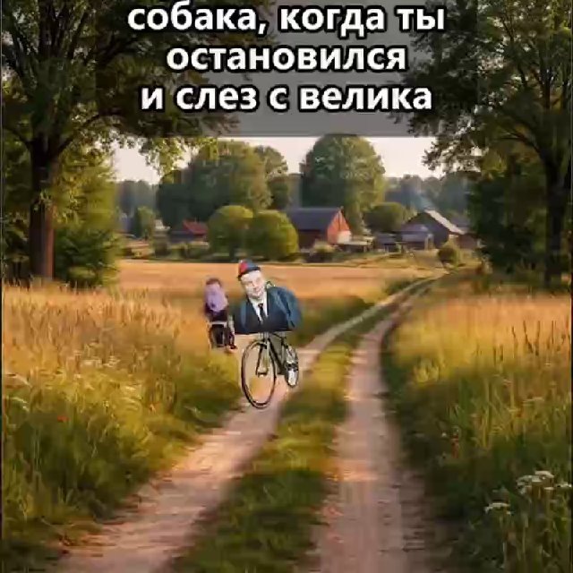 ShopDFT