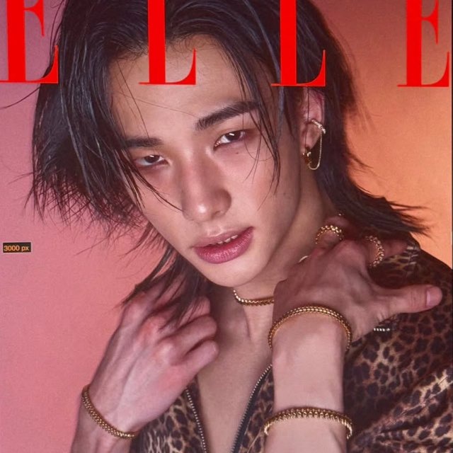 Hwang Dracula