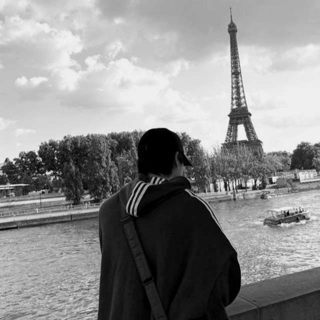 swallow's nest playlist