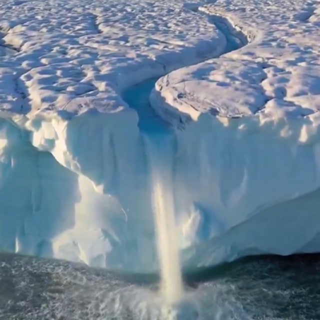 Arkitektor Antarctica