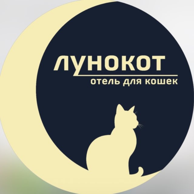 Лунокот | Отель для кошек | Краснодар