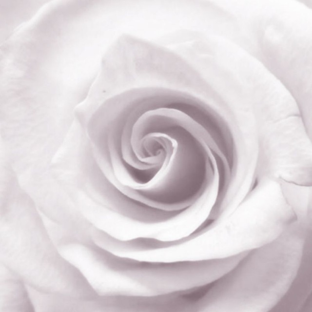 ㅤㅤㅤ ׄ 𝒸𝗋𝖾𝖺𝗆𝗒 𝗅𝗎𝗄𝖺 ִ ׄ