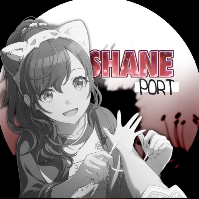 [РЕСТ ДО 21.06]ཐིཋྀ𓂃 🥀 PORT. Shane ݂ ㅤ ࣪ ഒ