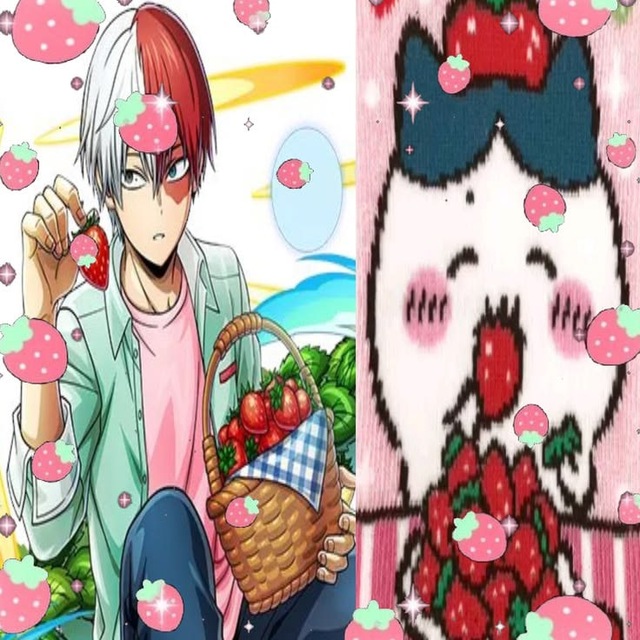 Selfship mha cf