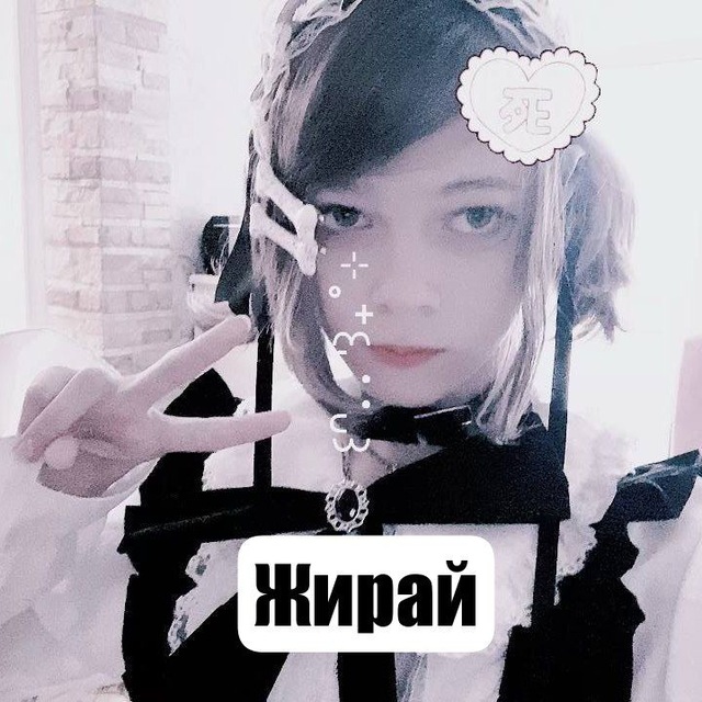 Слив бинго/пексюня/ван ван/субо/субару/вава дог