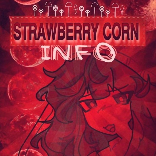 《_𝒔𝒕𝒓𝒂𝒘𝒃𝒆𝒓𝒓𝒚 𝒄𝒐𝒓𝒏_》info