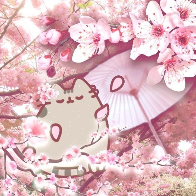 —૮ 𐔌 ⁘🌸𝒫𝓊𝓈𝒽𝒾𝓃 .ᥴꪮꪑ?!:р⌣⌣ ‌‌ʚɞ ‌ . ݁ ‌ ‌‌. ݁˖