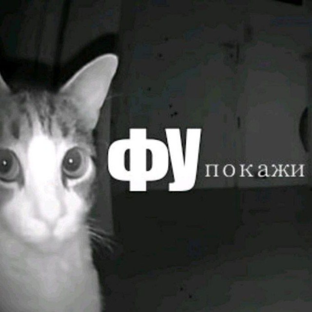 ησɠϲλγωӄα ηαησӄ.