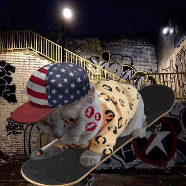 𝙎𝙃𝘼𝙈𝙀𝙇𝙀𝙎𝙎