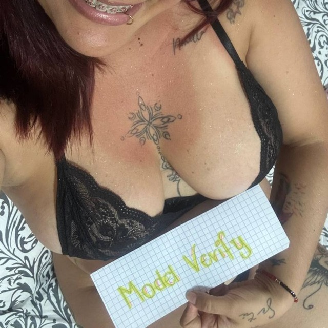 Model Verify