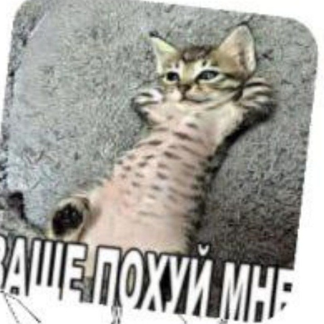 Hikkan life