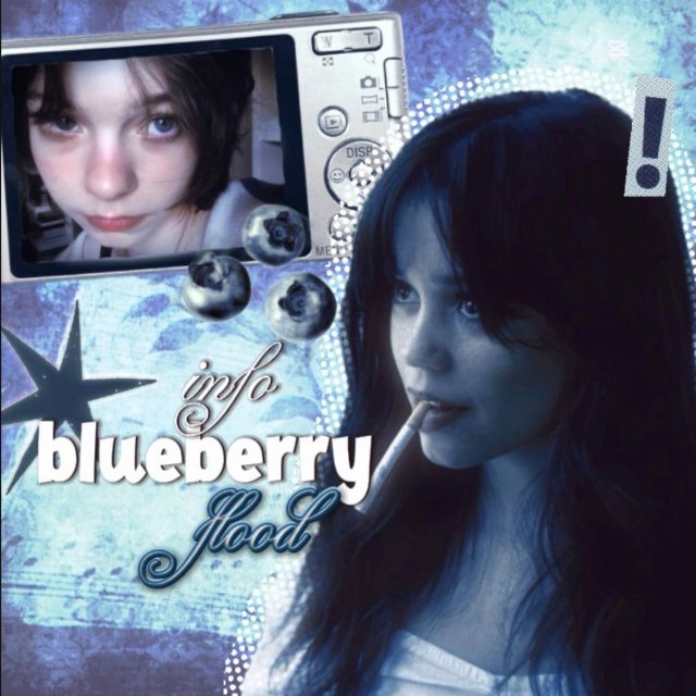 инфо blueberry flood