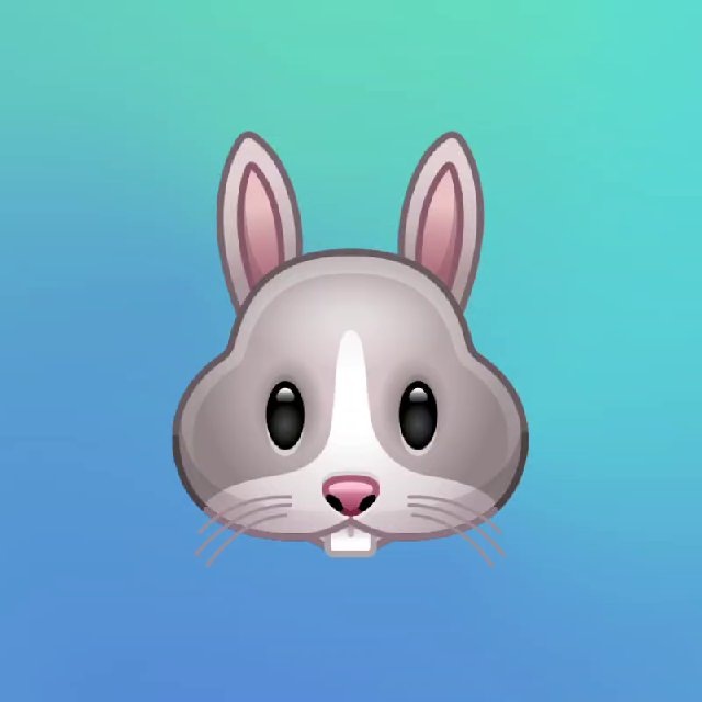 🐰