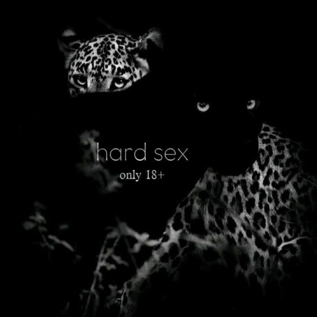 hard sex.