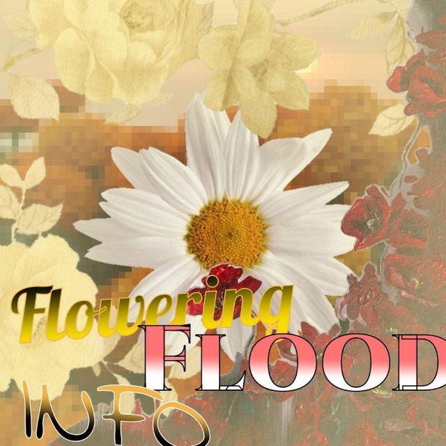 FLOWERING flood Info