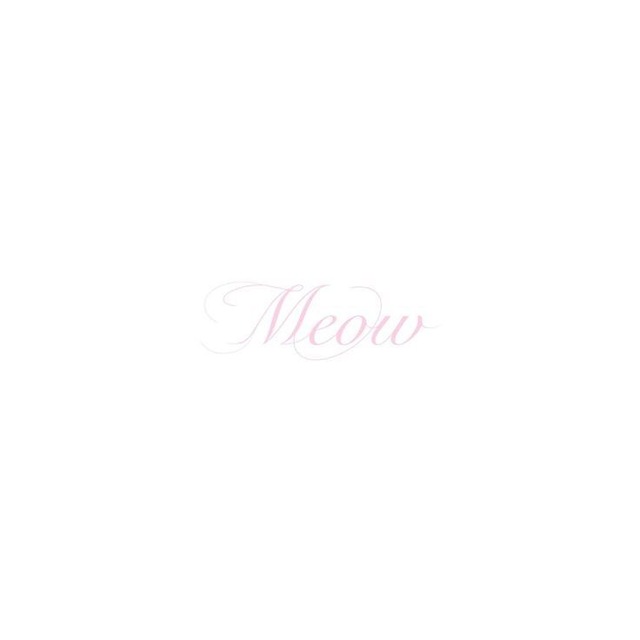 𝑖𝑛𝑓o 𓆩♡𓆪