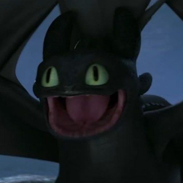 Toothless & co