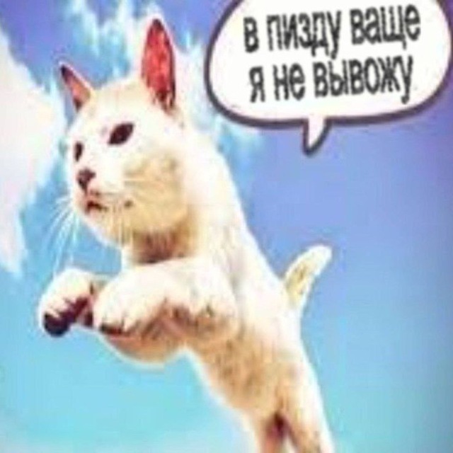 Разговоры о важном с Харукой