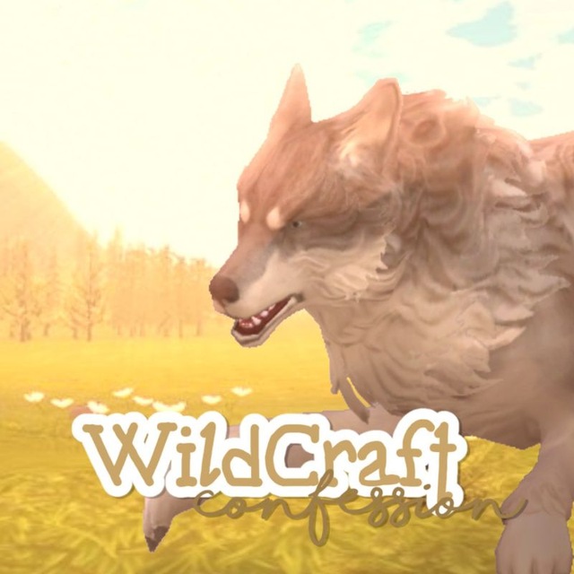 WildCraft Confession