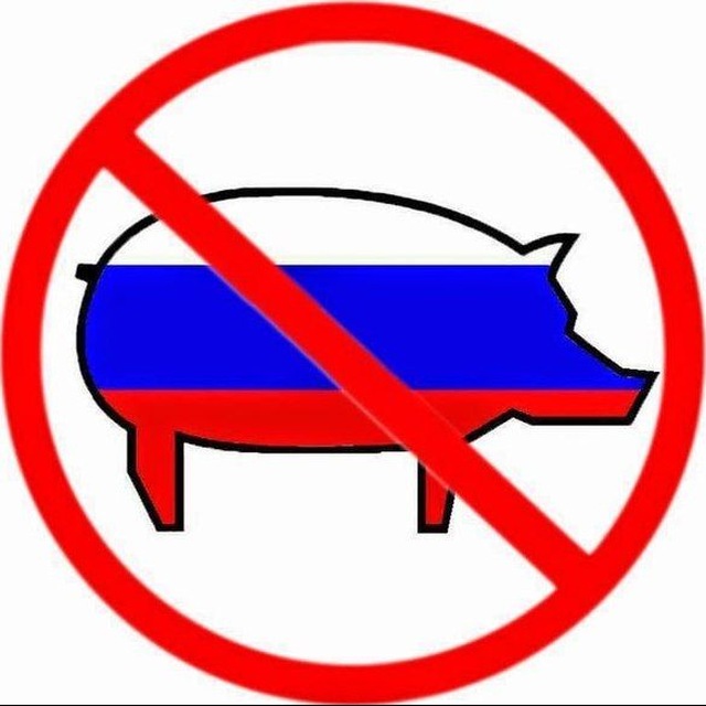 Худесса русаки галимые