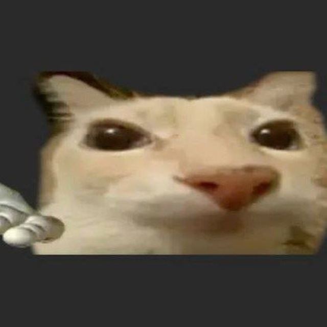 союзы вс