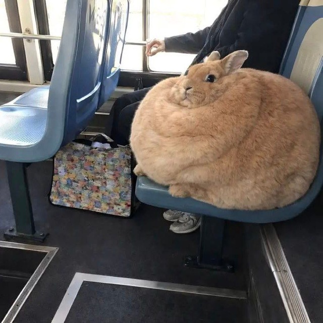 Инфоэ