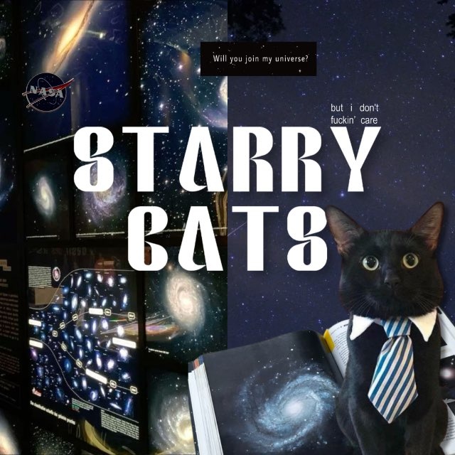info. Starry Cats