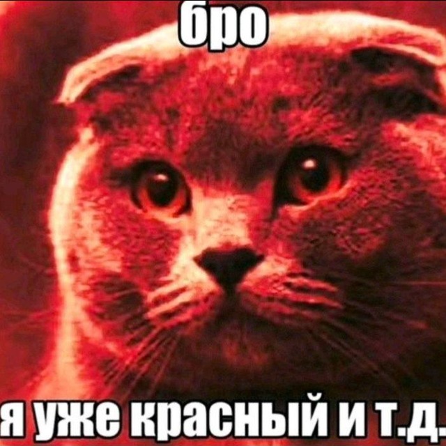 ` info drynnost