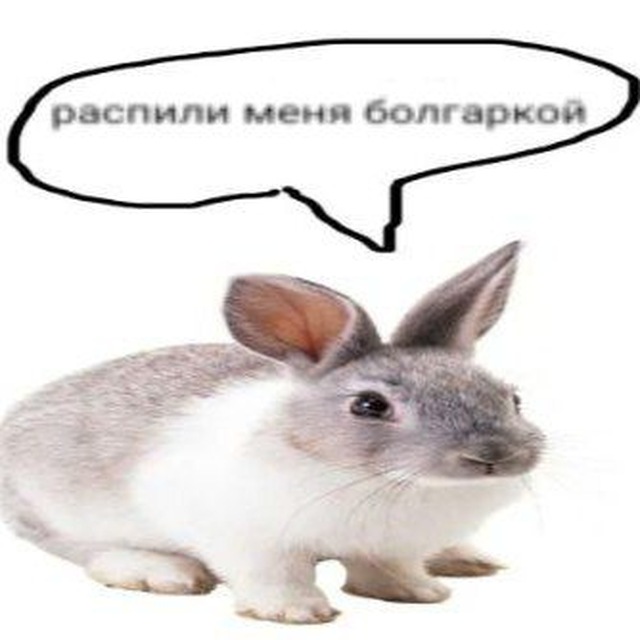 пузозуb🔇