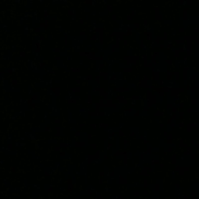 vncs videos